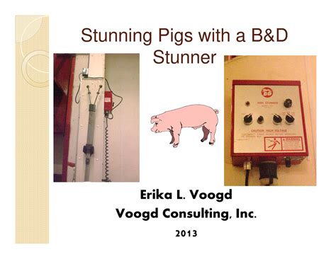 pig stunner|Stunning Pigs with a B&D Stunner .